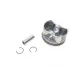 Поршень Audi A3/A4/VW Passat 1.6 96-10 (81.01mm/STD)