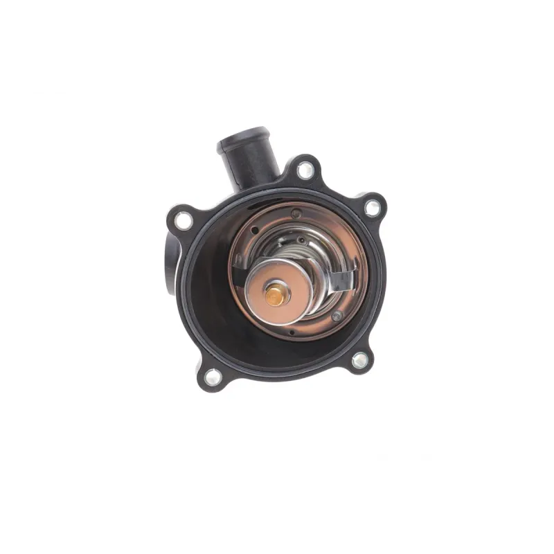 Термостат MAHLE TM 23 95 для Audi Q7 (4L) 2006-2010, A6 (C6) 2006-2011, A8 (4E) 2006-2010, 95°C