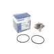 Термостат MAHLE TX 18 79D для Chrysler Voyager III 1995-2001, Dodge Caravan 1995-2001, Ford Scorpio II 1994-1998 (79°C)