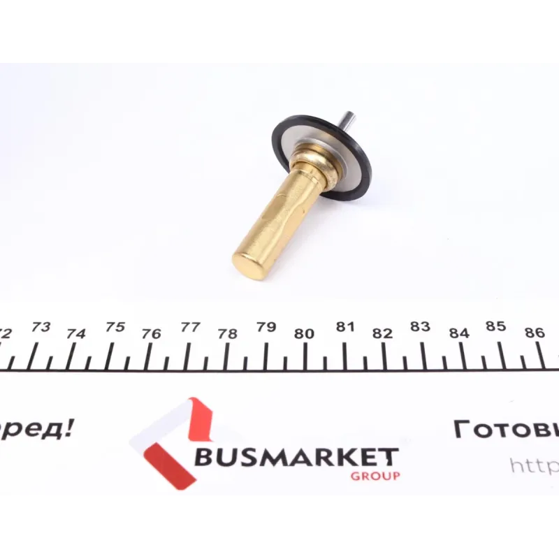Термостат Ford Focus III 1.6 Ecoboost 10-