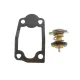 Термостат Citroen Jumper/Fiat Ducato/Peugeot Boxer 3.0HDI 06-