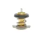 Термостат Citroen Jumper/Fiat Ducato/Peugeot Boxer 3.0HDI 06-