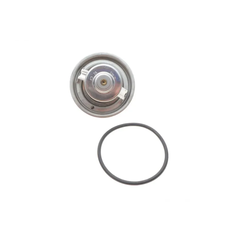 Термостат Audi A4/A6/VW Passat 2.4-2.8 97-05