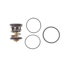 Термостат MAHLE TX 496 91D 91°C для BMW 5 (G30/F90) 3.0d B57 2016-2020