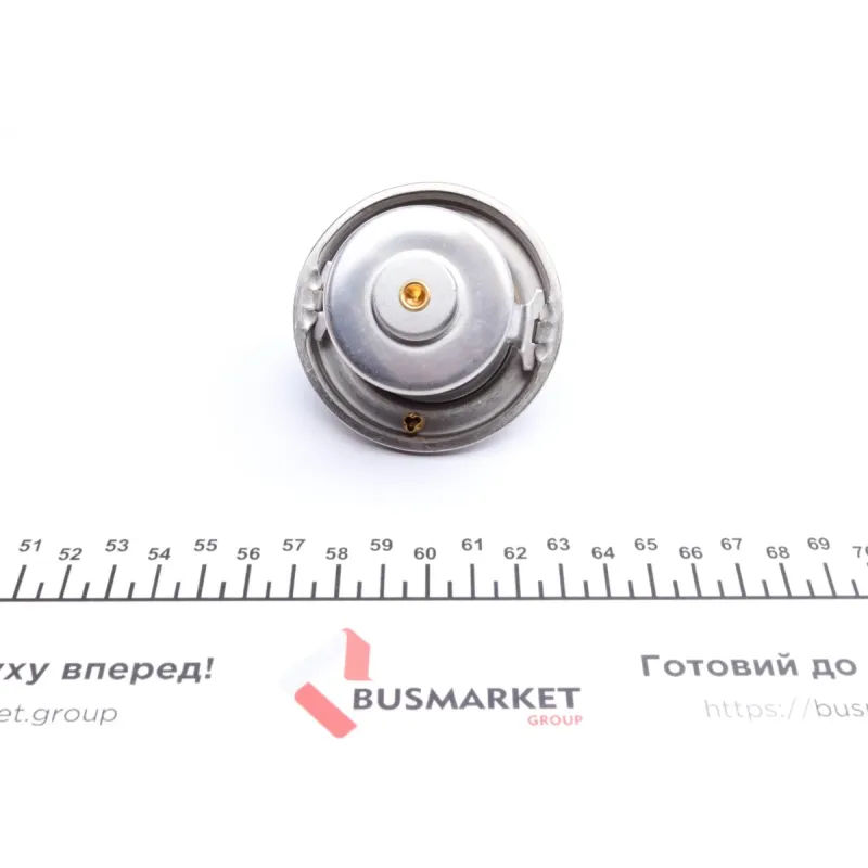 Термостат MB S-class (W140) 93-97 (79°C)