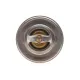 Термостат Opel Ascona/Astra/Kadett/Vectra 1.6-1.7D 84-00