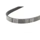 Ремінь генератора MEYLE 050 004 0800 для Honda Civic VI 1994-2001, 4PK800