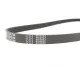 Ремінь генератора MEYLE 050 004 0890 для Audi 80 B4, BMW 3 E36, Fiat Tipo, 4PK890 мм
