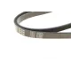 Поліклиновий ремінь MEYLE 050 005 1005 для BMW 5 (E39) 535i 1996-2003, 540i 1996-2004, 5PK1005