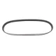 Ремінь генератора MEYLE 050 006 0900 для Fiat Ducato 2.5D/TDI 1994-2002, 6PK900