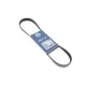 Ремінь генератора MEYLE 050 006 0915 для Citroen Jumper, Peugeot Boxer, Fiat Ducato 6PK915
