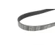 Ремінь генератора MEYLE 050 006 0915 для Citroen Jumper, Peugeot Boxer, Fiat Ducato 6PK915