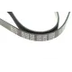 Ремінь генератора MEYLE 050 006 1060 для Mitsubishi Galant VI 2.5 1996-2004 (6PK1060)