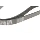 Ремінь генератора MEYLE 050 006 1100 для Peugeot Boxer, VW Caddy 6PK1100