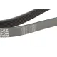 Ремінь генератора MEYLE 050 006 1163 для Citroen Berlingo 1.9D 6PK1163