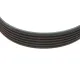 Ремінь генератора MEYLE 050 006 1468 для Fiat Ducato 2.0 JTD, Citroen Jumper 2.0 HDI 6PK1468