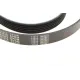 Ремінь генератора MEYLE 050 006 1570 для Audi A4 1.6-2.0 2000-2008 (6PK1570)