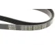 Ремінь генератора MEYLE 050 006 1570 для Audi A4 1.6-2.0 2000-2008 (6PK1570)