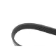Ремінь генератора MEYLE 050 006 1590 (6PK1590) для Audi A4 B6 2000-2004, 1590 мм