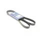 Ремінь генератора MEYLE 050 006 1675 для Ford Escort Mk VII 1995-1998, 6PK1675