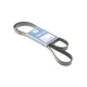 Ремінь генератора MEYLE 050 006 1680 для Citroen Berlingo 1.9D 1998-2005, 6PK1680
