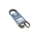 Ремінь генератора Peugeot Expert/Citroen Berlingo 1.9D/TD 96-/2.0HDI 00- (6PK1740)