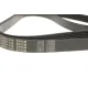 Ремінь генератора Peugeot Expert/Citroen Berlingo 1.9D/TD 96-/2.0HDI 00- (6PK1740)