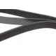 Ремінь генератора MEYLE 050 006 1795 для Renault Trafic 1.9/2.5dCI (+AC) 6PK1795