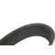 Ремінь генератора MEYLE 050 007 1076 для Fiat Ducato 2.3 JTD 2002-2006 (7PK1076)