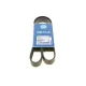 Ремінь генератора Mazda 3/5/6 2.0 DI/CD 02-10 (8PK1226)