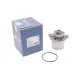 Помпа води MEYLE 113 012 0005 для Volkswagen Golf III/IV, Passat B3/B4, T4 2.8 VR6 1995-2003