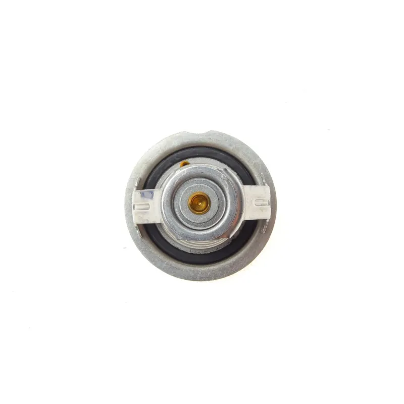 Термостат VW T4/T5/Audi A4/A5 2.0TSI/TFSI 06- (95 °C)