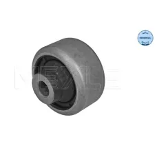 Сайлентблок важеля (переднього/ззаду) Renault Kangoo 08-