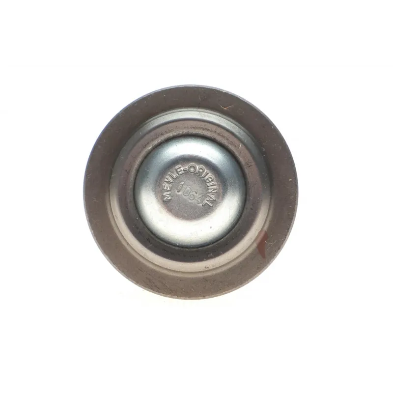 Опора кульова (передня/знизу) Renault Megane II 02- (d=16mm)