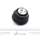 Подушка двигуна MEYLE 300 221 1600 для BMW 5 (E39) 520i/523i/525i/528i/530i 1995-2003