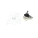 Подушка двигуна (R) Ford Focus 1.4/1.6 16V 98-04 (гидравлика)