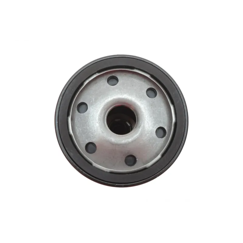 Фільтр масляний Ford Focus/Transit 1.0-2.3/Mazda 6 1.8/2.0 02-