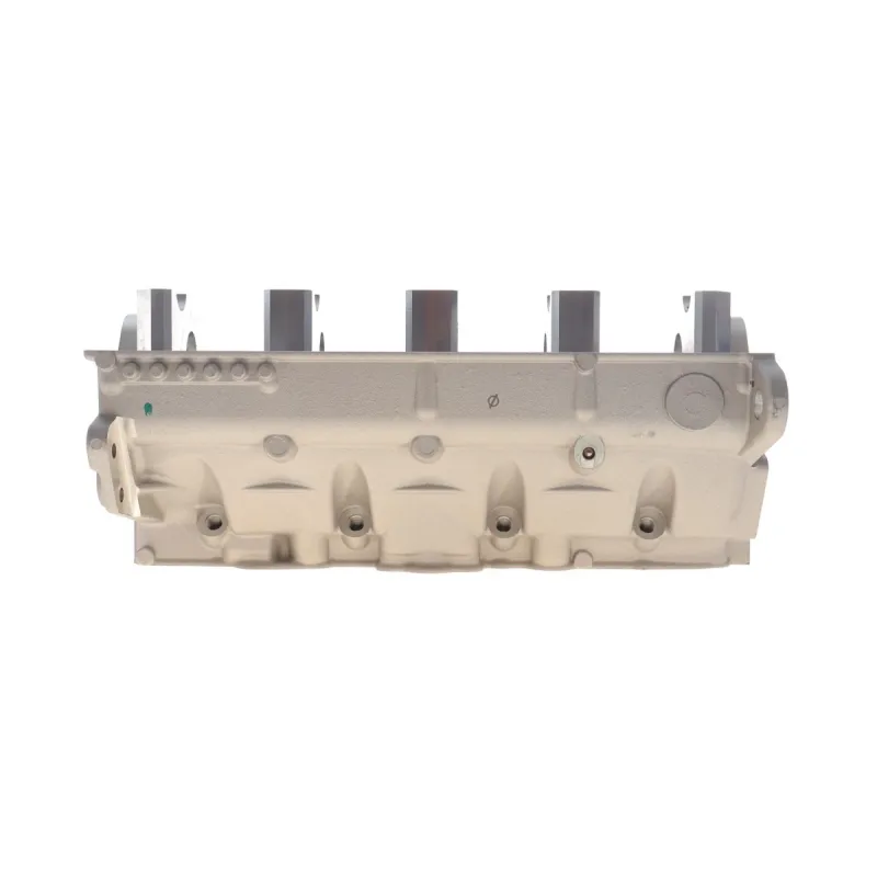 Головка блоку циліндрів VW T5 1.9TDI/Caddy 1.9TDI/2.0SDI 03-