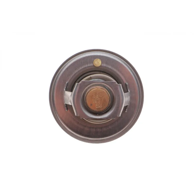 Термостат Hyundai Accent II 1.3/1.5/Nissan Micra III 1.0-1.4 92- (88°C)
