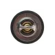 Термостат MOTORAD 200-92JK для Ford Fiesta/Escort 1.0-1.3i 1989-2003, 92°C