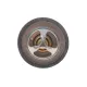 Термостат MOTORAD 2033-82K 82°C з ущільнювальним кільцем для Nissan Primera P11/X-Trail T30