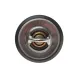 Термостат MOTORAD 228-82K для Kia Sorento, Hyundai H-1 2.5TD/CRDi 2001-, 82°C