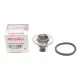 Термостат Nissan Pick Up 2.5D/TD 98-05/Mitsubishi L300 2.5TD 87-04 (75°C)