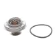 Термостат VW Crafter 2.5 TDI 06-11/T4 2.4-2.5 TDI 90-03 (82°C)
