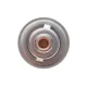 Термостат MOTORAD 281-71 для Renault Master 3.0dCi, Opel Movano 3.0 DTi, Nissan Interstar 71°C
