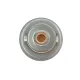 Термостат Ford Escort/Hyundai Accent 1.3/1.5i/Terracan 2.9CRDi 97-