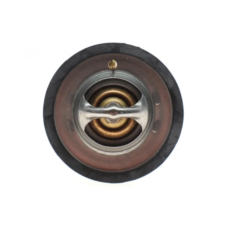 Термостат MOTORAD 363-91K 91°C для Ford Transit Courier/Fiesta/Focus/Mondeo 1.0/1.1 2014-