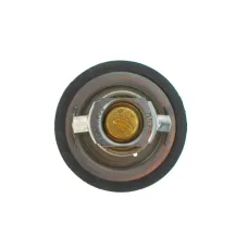 Термостат Renault Koleos/Laguna III/Megane III 2.0 16V 07-