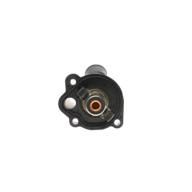 Термостат Ford Mondeo V 2.0 EcoBoost 14-/Focus III 2.0ST 12-/Mazda 3/5 1.8/2.0 05- (82 C)
