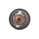 Термостат MOTORAD 565-82K для Ford Fusion, Fiesta, Focus 1.2-1.6 82°C